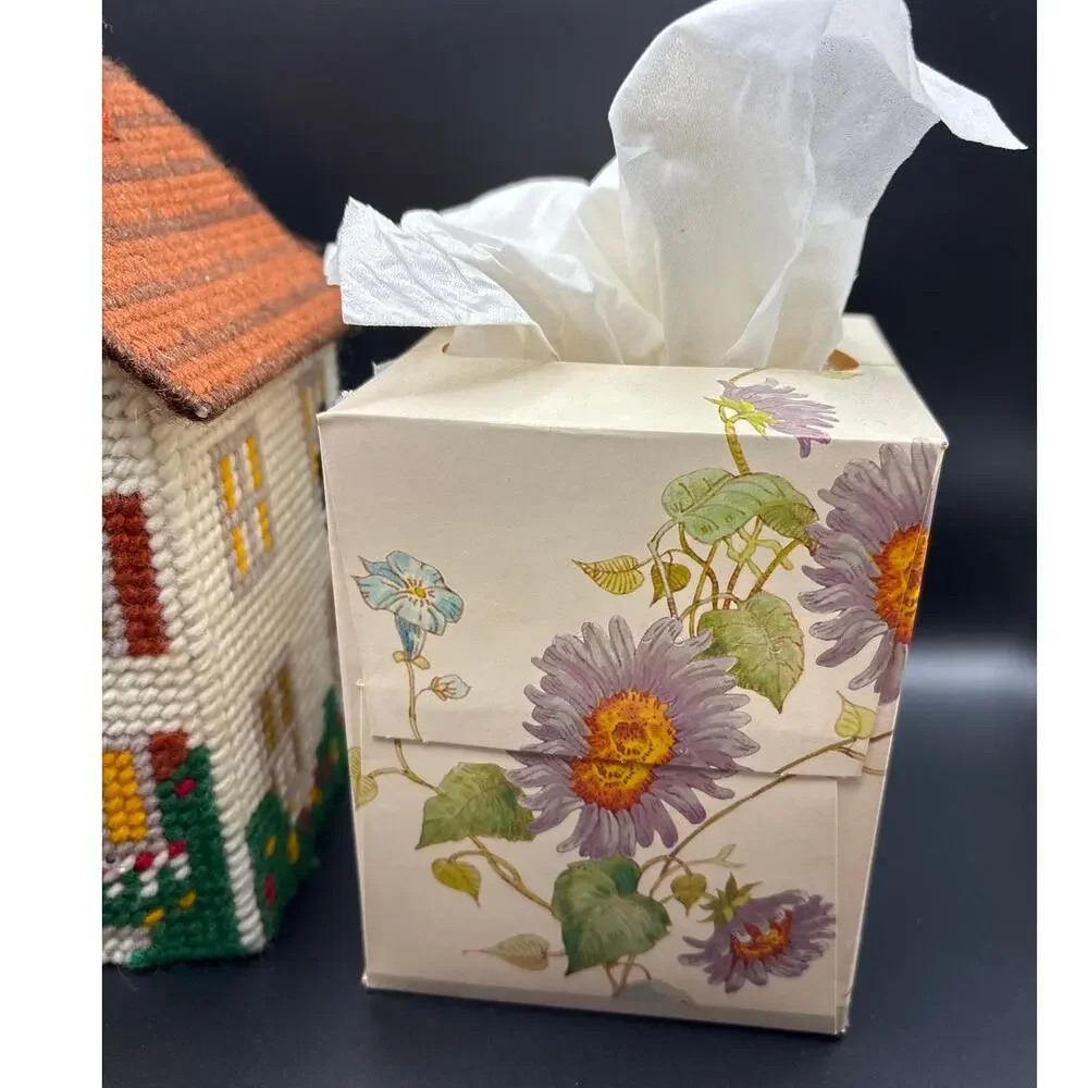 Vintage Yarn Plastic Canvas Tissue Box Cover Cottage House Retro with Tissue Box